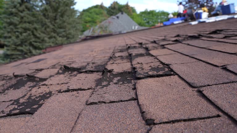 Best Commercial Roofing Services  in Kings Grant, NC